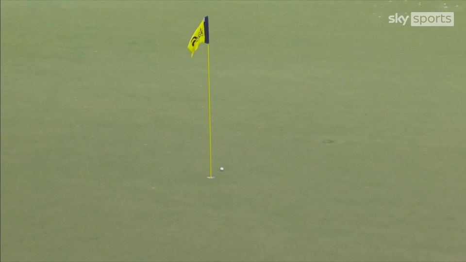 Golf ball in hole on green.