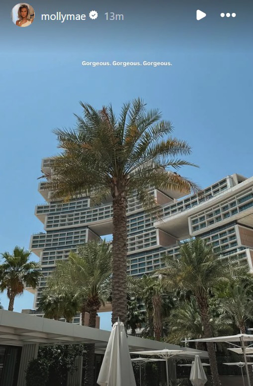 Palm trees and a modern building in Dubai.