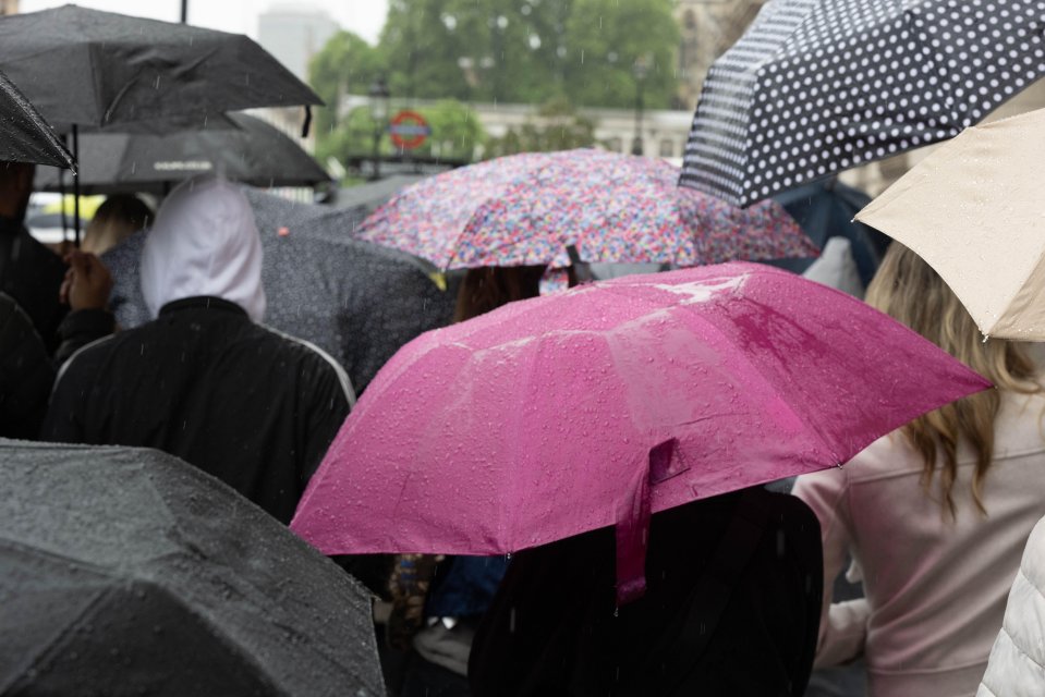 Tourists with umbrellas in the rain.