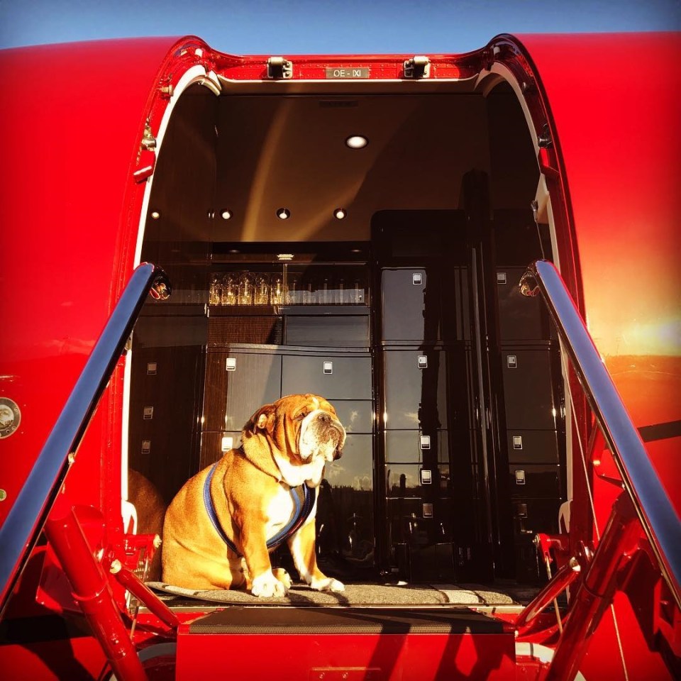 A bulldog sitting inside the open cargo bay of a red private jet.