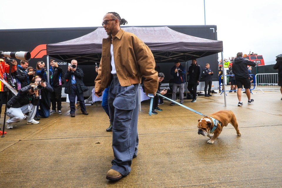 Lewis Hamilton walking his bulldog.