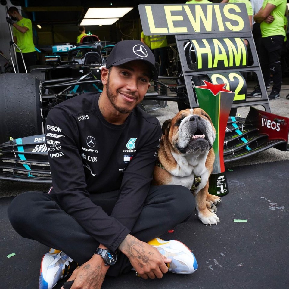Lewis Hamilton with his bulldog and a racing trophy.