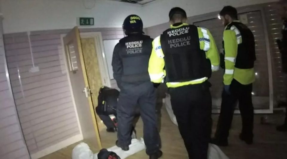 Police officers in a raid on a cannabis farm.