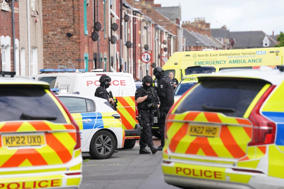 Armed police officers at the scene of a dog attack.