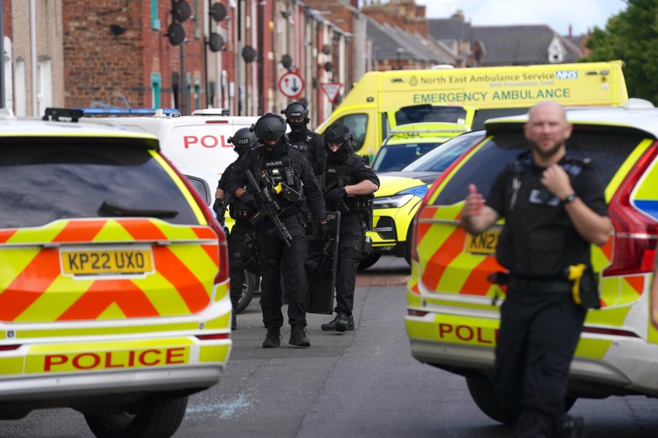 Armed police officers responding to a dog attack.