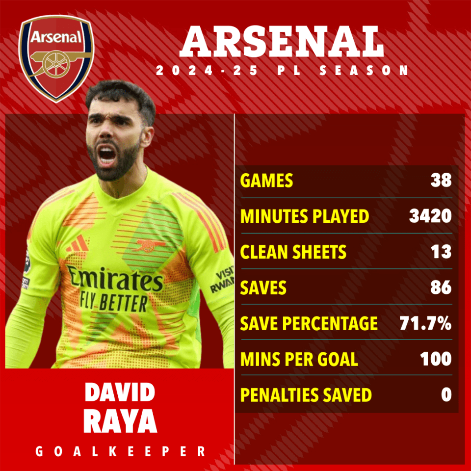 David Raya's 2024-25 Arsenal season statistics.