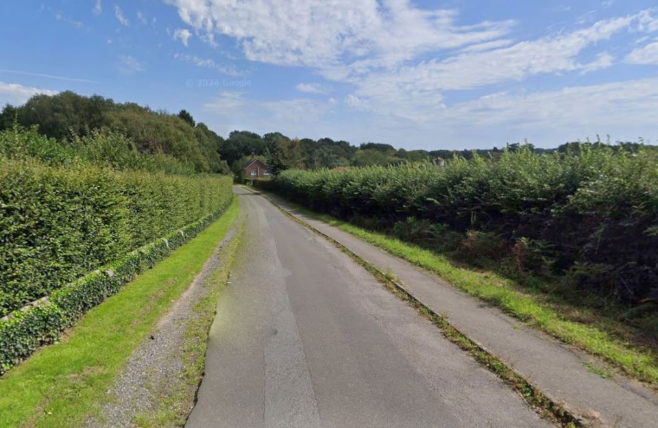 Country road lined with hedges.