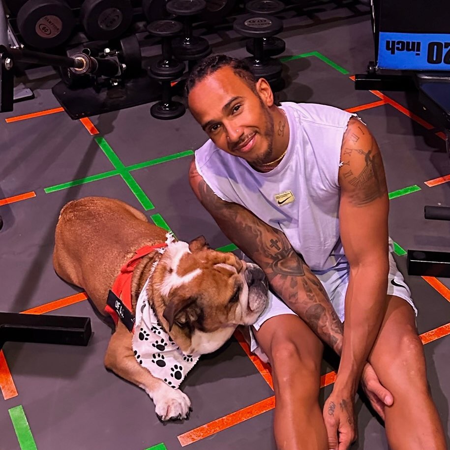 Lewis Hamilton with his bulldog, Roscoe.