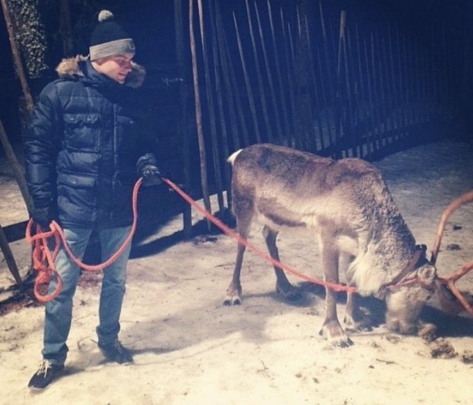 Man leading a reindeer with a rope.